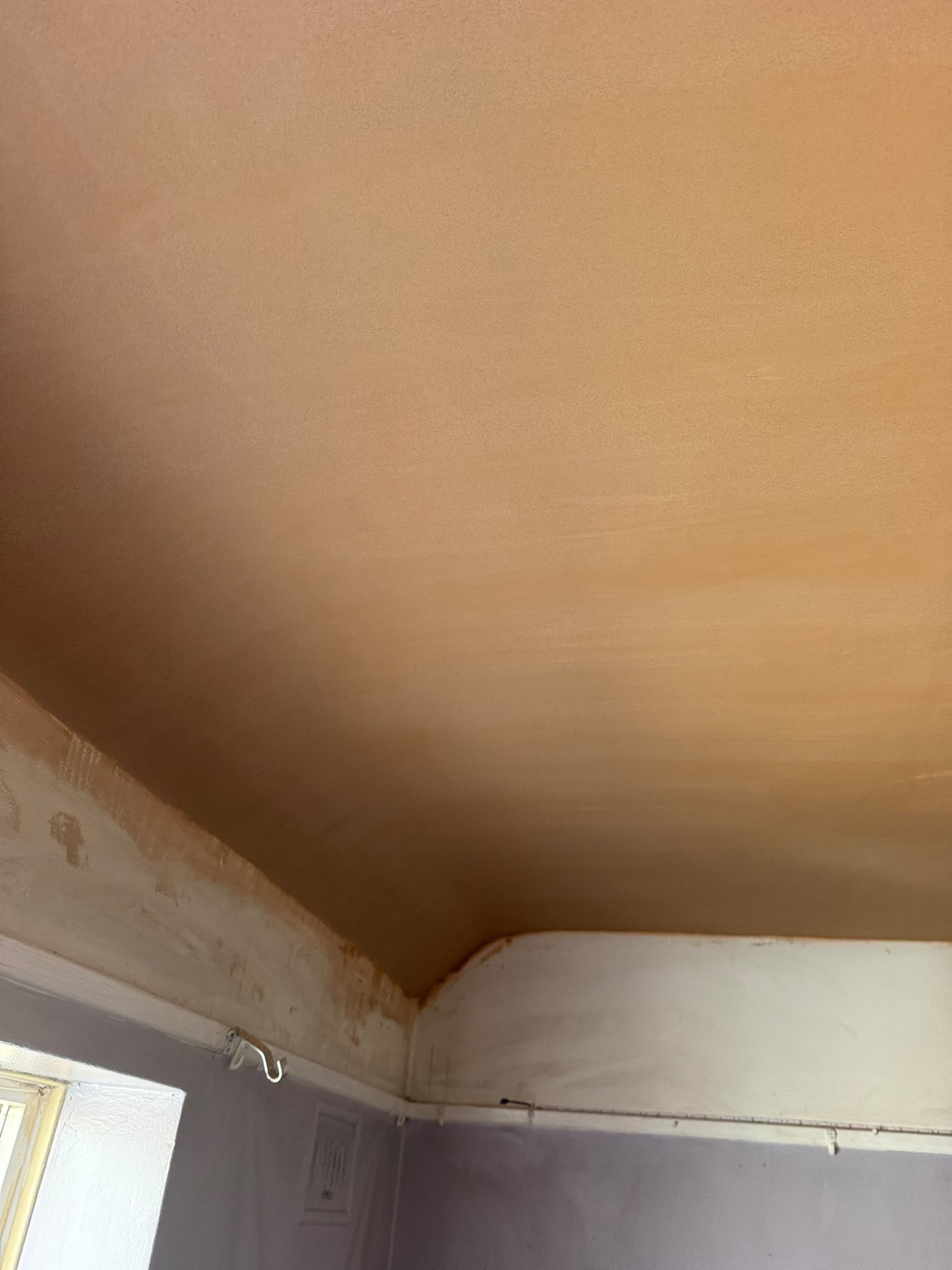 Freshly plastered ceiling meeting a curved cove detail
